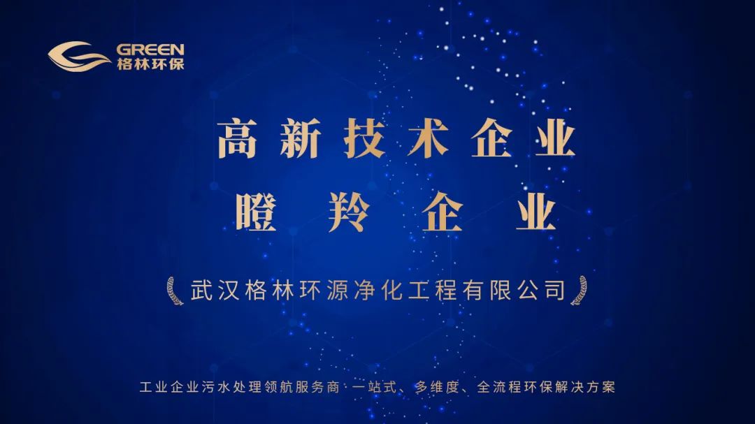 喜报｜恭喜格林连续荣获“高新技术企业”、“瞪羚企业”认定！