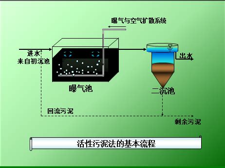 活性污泥法：原理与未来展望