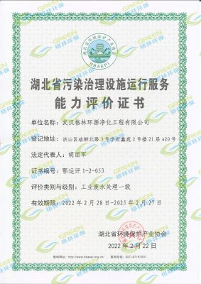 湖北省污染治理设施运行服务能力评价证书工业废水处理一级